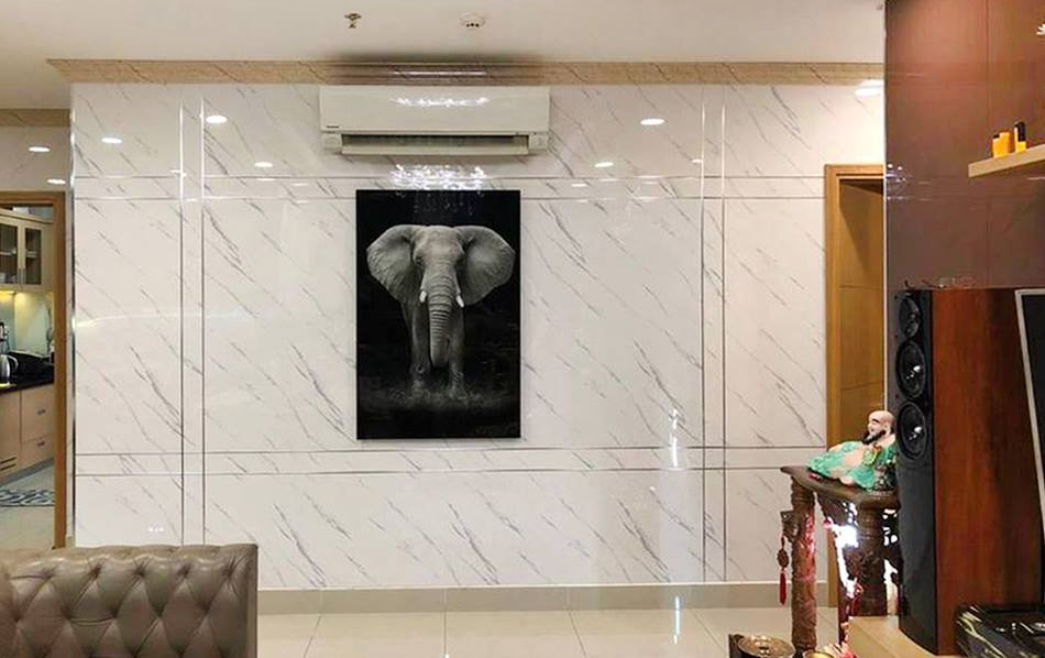 Mẫu tấm nhựa ốp tường