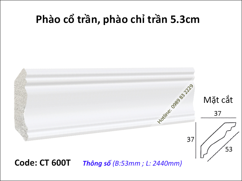 Phào cổ trần, phào trần CT600T