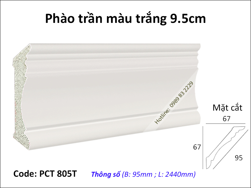 Phào cổ trần trắng trơn PCT 805T